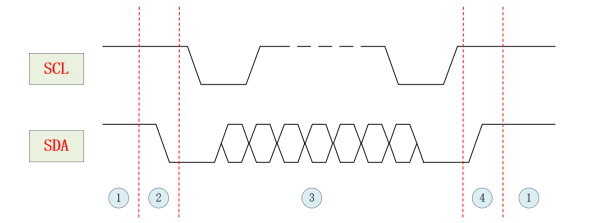 image-20240611194242093